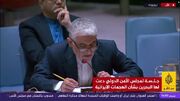 جزییات نشست شورای امنیت درباره وضعیت خاورمیانه/ ایروانی: تردد آزادانه کشتی‌ها از تنگه هرمز تا ۶۰ روز آینده تضمین شده است
