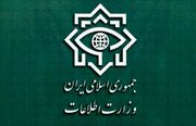 وزارت اطلاعات: تروریست‌های آموزش‌دیده پیش از اجرای عملیات بازداشت شدند