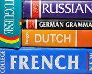 چگونه یادگیری یک زبان جدید مانع از پیری زودرس مغز می‌شود؟