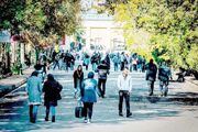 از افشاگری تا تهدید دانشجو/ کانال‌های تلگرامی اقدام به انتشار اطلاعات دانشجویان کردند