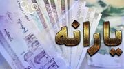 انتقاد تند از سیاست یارانه‌ای دولت: می‌خواهید تورم را با یارانه درمان کنید