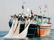جنگ به ساحل رسید؛ روایت جاشوهای غریب دریا