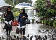 بارش‌های رگباری در ۱۰ استان/ هشدار نارنجی برای شمال‌غرب
