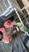 گفتگوی منوچهر هادی با یک طوطی