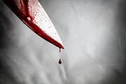 افشای راز یک قتل پس از ۷ سال در آمل