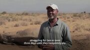مرگ‌ مرموز فیل‌ها در کنیا