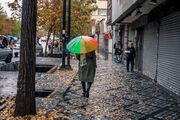 پاییز ۱۴۰۵ چه شکلی خواهد بود؟/ ال‌نینو رکورد می‌زند!