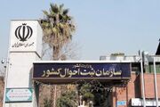 مرحله نخست طرح ملی «شجره نامه خویشاوندی ایرانیان» عملیاتی شد