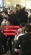پدیده عجیب گوریل‌های رقصنده در جشن عروسی