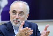 علی‌اکبر صالحی: هیچ جنگی در تاریخ ابدی نبوده، شرایط کنونی نیز دائمی نخواهد بود