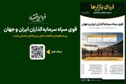فردای بازارها/ قوی سیاه سرمایه‌گذاران ایران و جهان