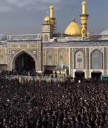 کربلا مملو از عزاداران فاطمی شد +فیلم