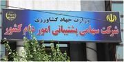 شرکت پشتیبانی امور دام دستور العمل خرید حمایتی گوشت مرغ منجمد کارتنی شیرینگ پک را ابلاغ کرد + سند