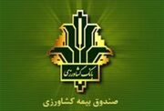 صندوق بیمه کشاورزی چیست؟ راهنمای کامل بیمه کشاورزی، شرایط، پوشش‌ها و دریافت خسارت