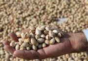 قیمت پسته به بورس کالا بازگشت