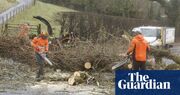 Two men killed by falling trees during Storm Éowyn