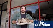 Australia’s bagel renaissance: ‘It’s not white bread with a hole in it’