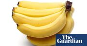 Banana-phobe Swedish minister’s staff insisted on ‘no traces in the room’