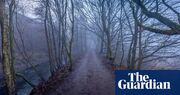 Barrowbeck by Andrew Michael Hurley review – folk horror spans the centuries