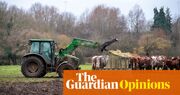 My family has grown Britain’s food for 140 years. Here’s what politicians don’t understand about farming | Clare Wise