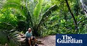 ‘I felt death in the flames’: how lighting a forest fire inspired one man to transform barren ranches into rainforest