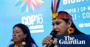 Cop16 ends in disarray and indecision despite biodiversity breakthroughs