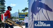 Dengue fever deaths surge in Caribbean and Americas due to climate crisis