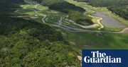 Protection deal for Amazon rainforest in peril as big business turns up heat