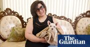 Experience: My dog went missing for nine years – then we were reunited