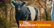 I bought a farm, hated the cows, and sold it. Then somehow, I bought another | John Humphrys