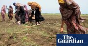 Global food production at increased risk from excess salt in soil, UN report warns