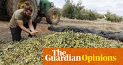 Soaring grocery prices helped Trump to victory. The climate crisis is only going to make this worse | James Meadway