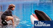 Best podcasts of the week: Serial tells the true tale of Free Willy’s titular whale