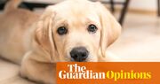 I have finally mastered meditation – with the help of my tiny new puppy | Joel Snape