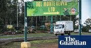 ‘I saw many people suffer’: former Del Monte Kenya guards speak of violence on pineapple farm