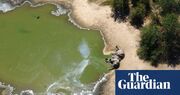 ‘Climate-induced poisoning’: 350 elephants probably killed by toxic water