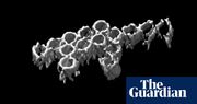 Nano-scale dinosaur made by Australian researchers from DNA building blocks