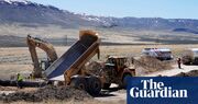 Nevada lithium mine approved despite possible harm to endangered wildflower