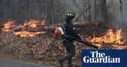 New York state parks employee dies while battling wildfires