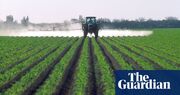 Farmers ‘very worried’ as US pesticide firms push to bar cancer diagnoses lawsuits