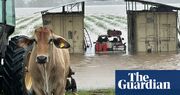 ‘Really quite scary’: with no power and dwindling supplies, Queensland’s flooded north dreads the worst