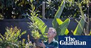 ‘Planting a tree is hope in action’: the people regenerating urban habitats and growing community