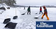 ‘Like a giant bird box’: the volunteers building huge snowdrifts for Finland’s pregnant seals