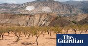 ‘It’s not drought - it’s looting’: the Spanish villages where people are forced to buy back their own drinking water