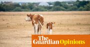 46C summer days and ‘supercell’ storms are Britain’s future – and now is our last chance to prepare | Bill McGuire