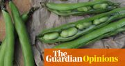 The first broad beans of spring take me back to my childhood garden – and my mum | Nova Weetman