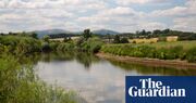 ‘The sores on the fish are nasty’: what’s behind the changes in the River Severn?