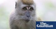 Two Worcestershire women jailed for role in global monkey torture network