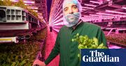 Shallow roots: can UK vertical farms keep growing as foreign rivals shrivel?