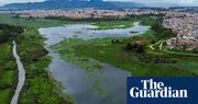 ‘Even the sound of the water has changed’: can Bogotá bring its wetlands back from the brink?